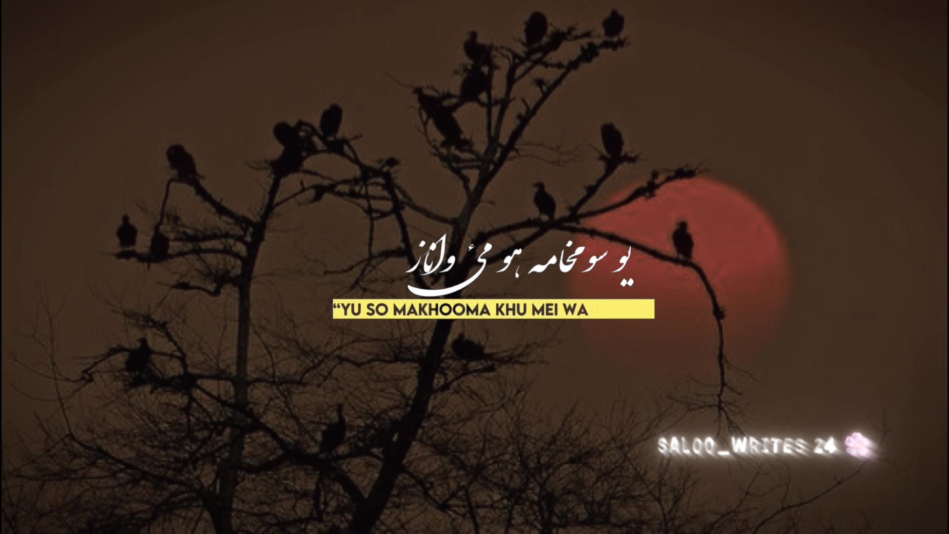 @𝐒𝐀𝐋𝐎𝐎_𝐖𝐑𝐈𝐓𝐄𝐒 🌸