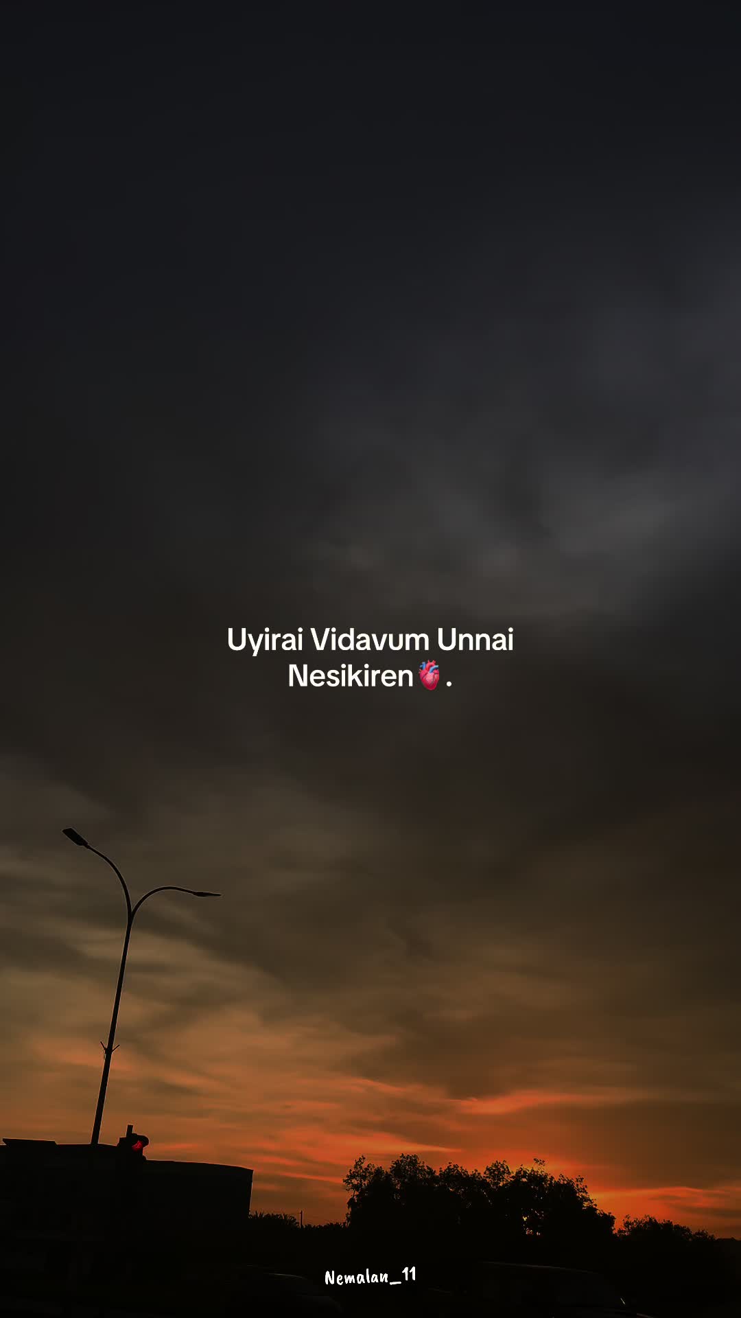 @nemalan_01