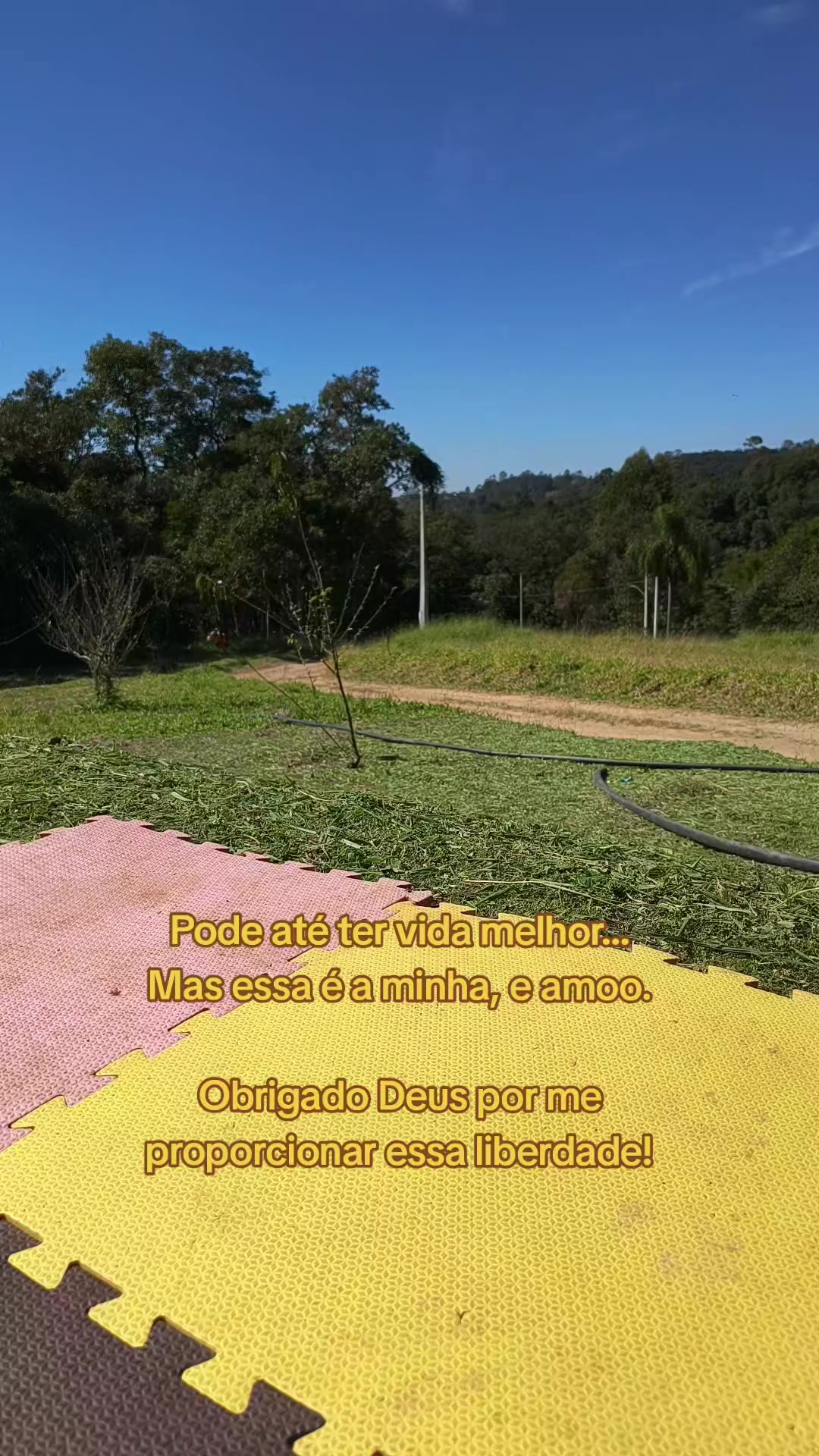 @Manuela Santos