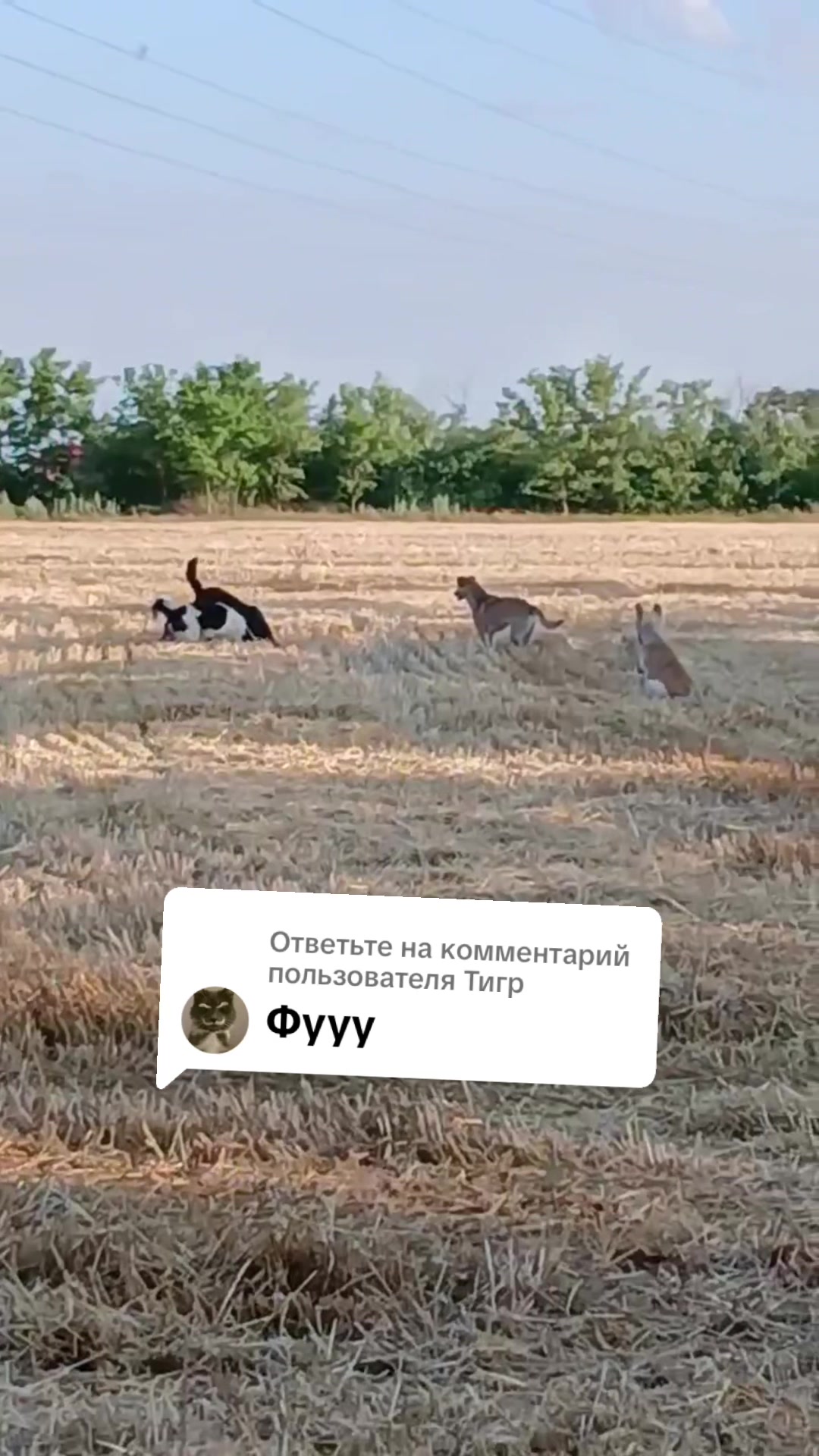 @Семейный Хуторок