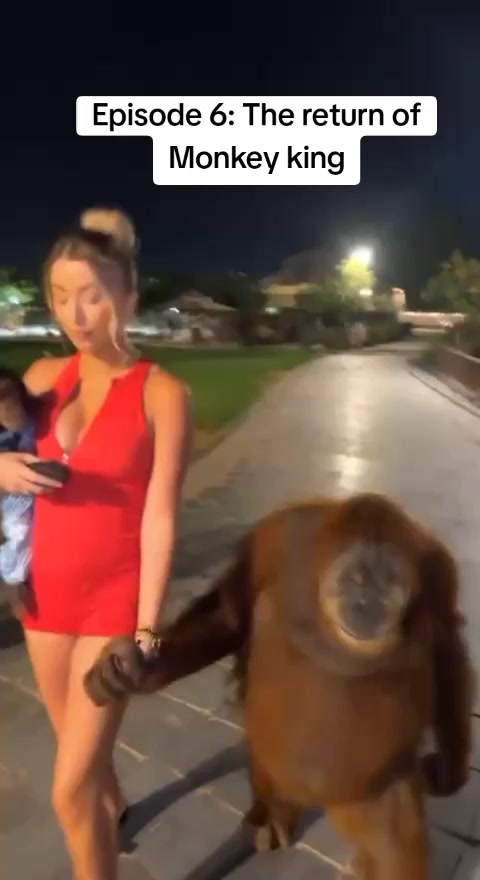 @Daddy T