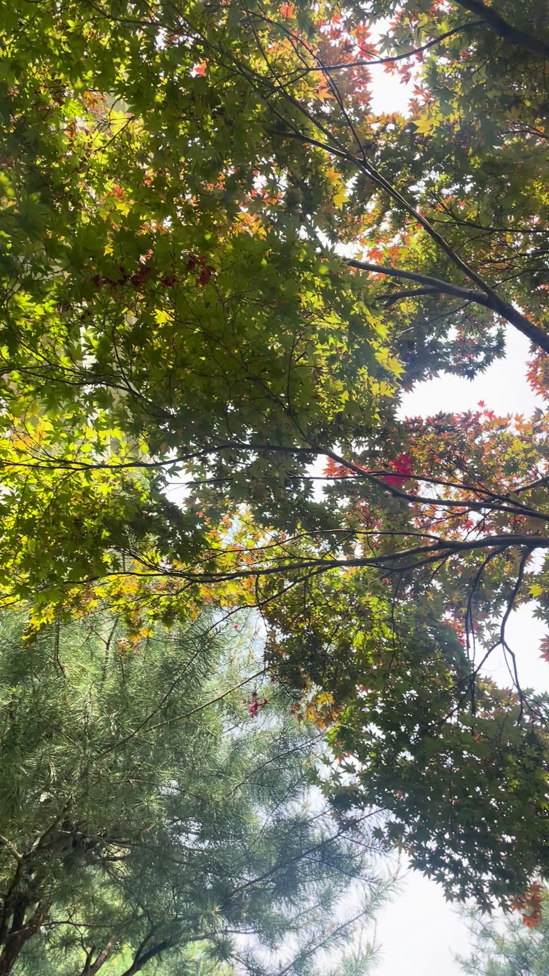 @ʕ•ᴥ•ʔ