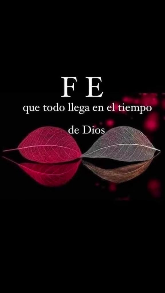 @🔥LA DEL PROCESO 🔥