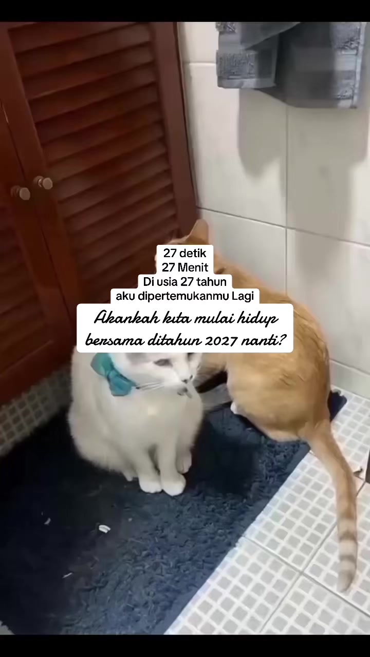 @若上司