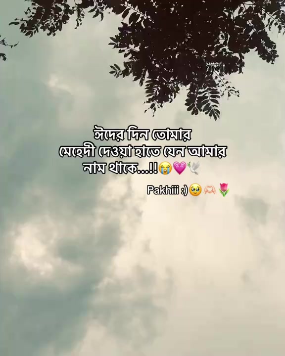 @💔T+S💔