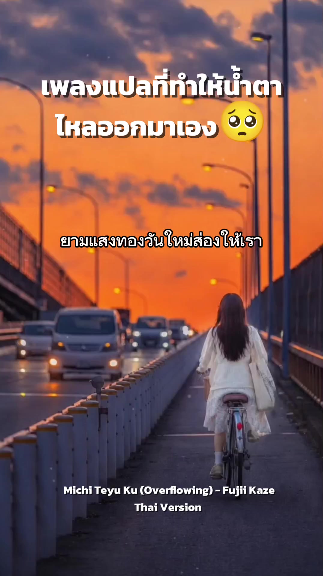 @TNP-Studio