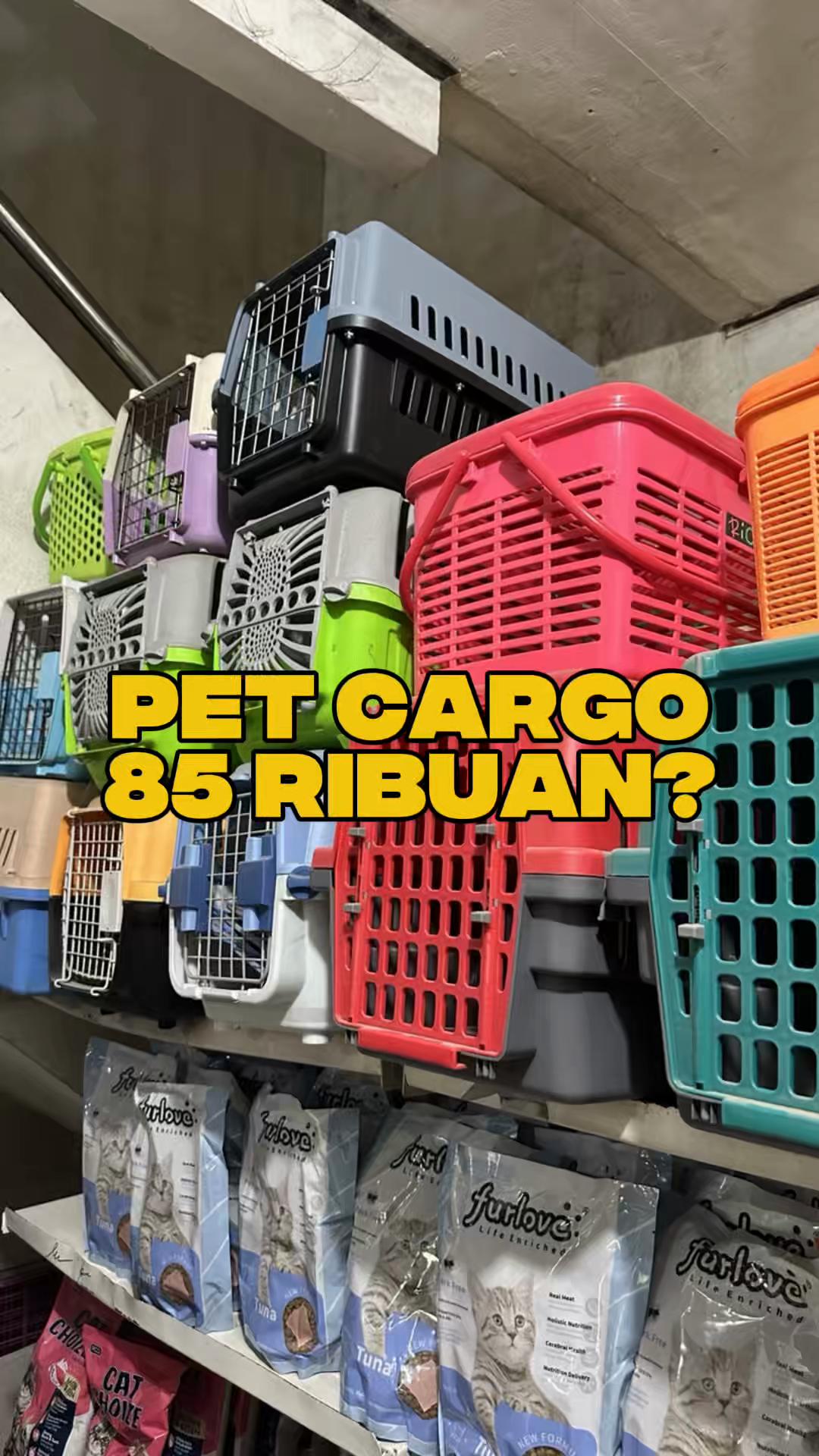 @bejo petmart