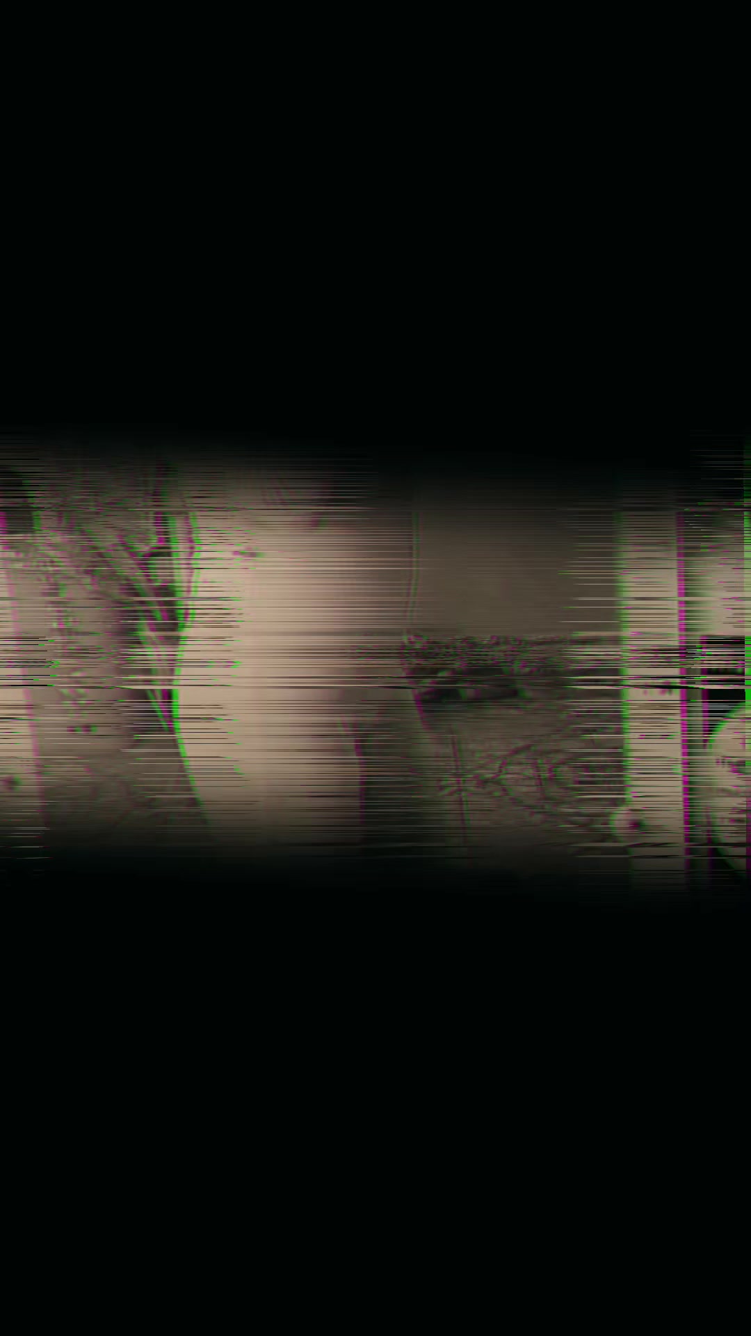 @🩷 𝑵𝒊𝒌𝒚 ✨