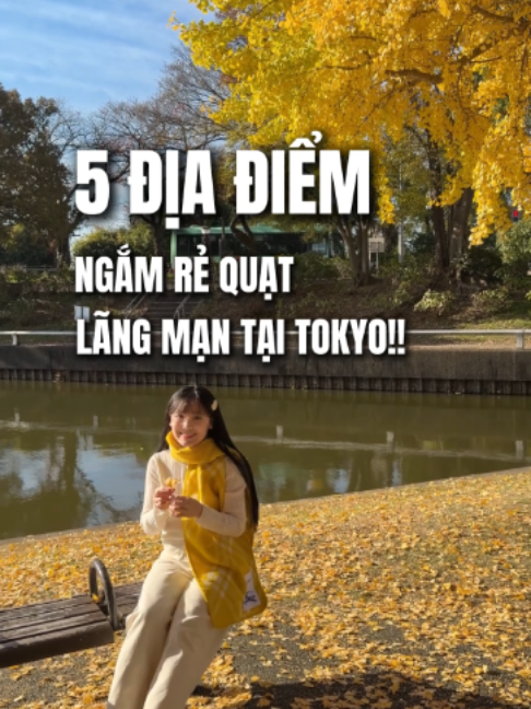 @Đi Nhật Cùng Nhâm
