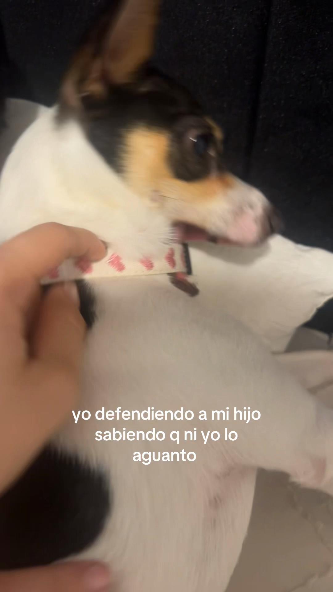 @Klaret