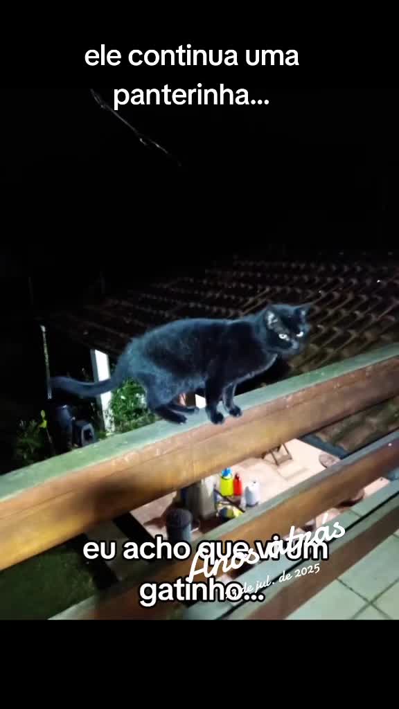 @Fatima Alessandra