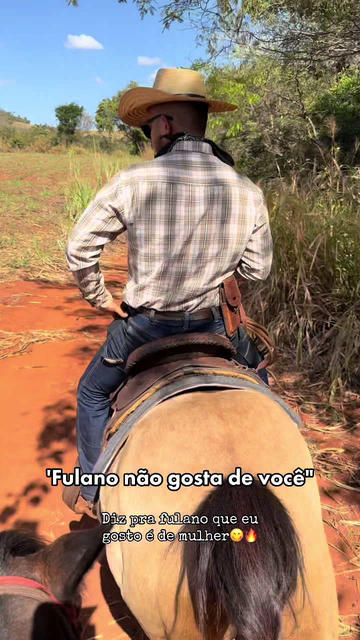 @mateusandrade9837