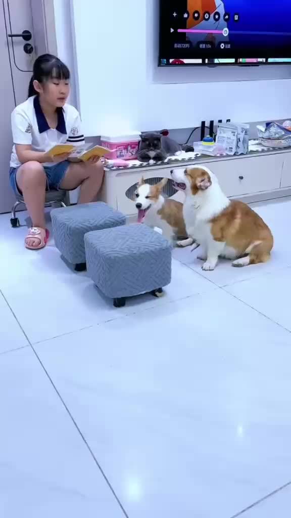 @Funny