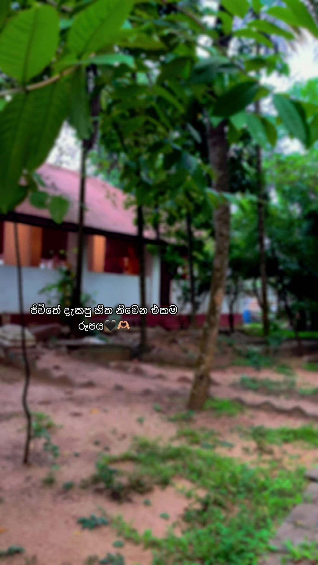 @itslakshika.Maduwantha