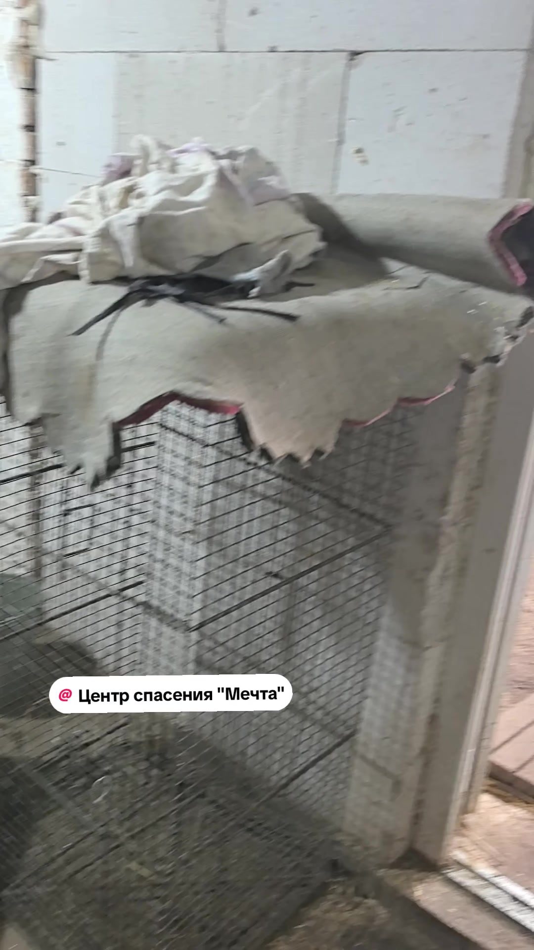 @Слава