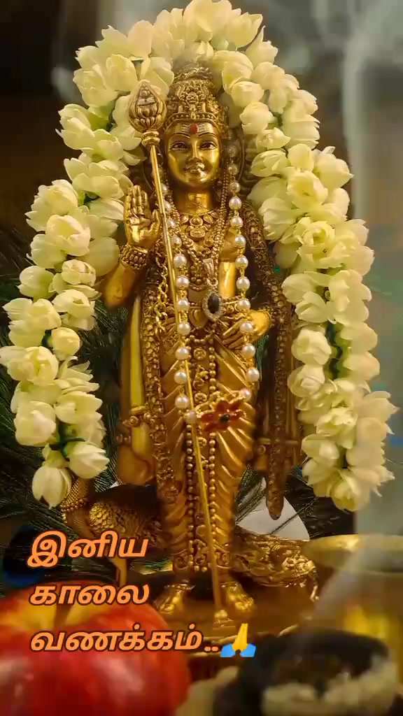 @🌹🙏SK󾓫🙏🌹