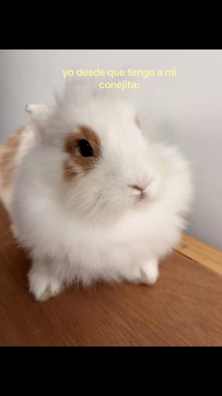 @La Madriguera de Judy 🐰