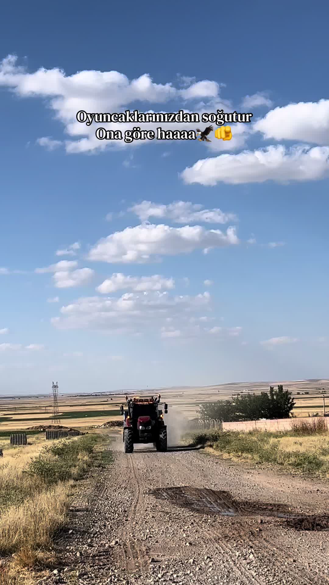 @Y.Mert