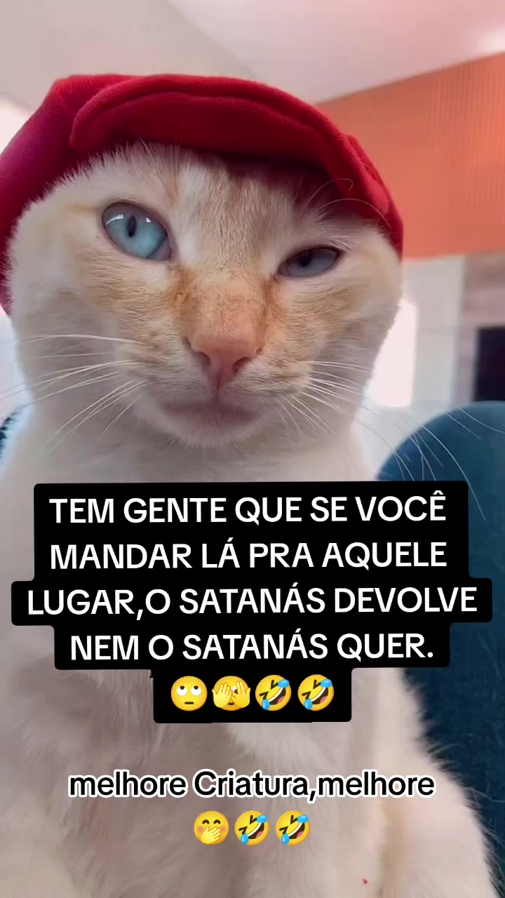 @Conte&uacute;do de valor🌹