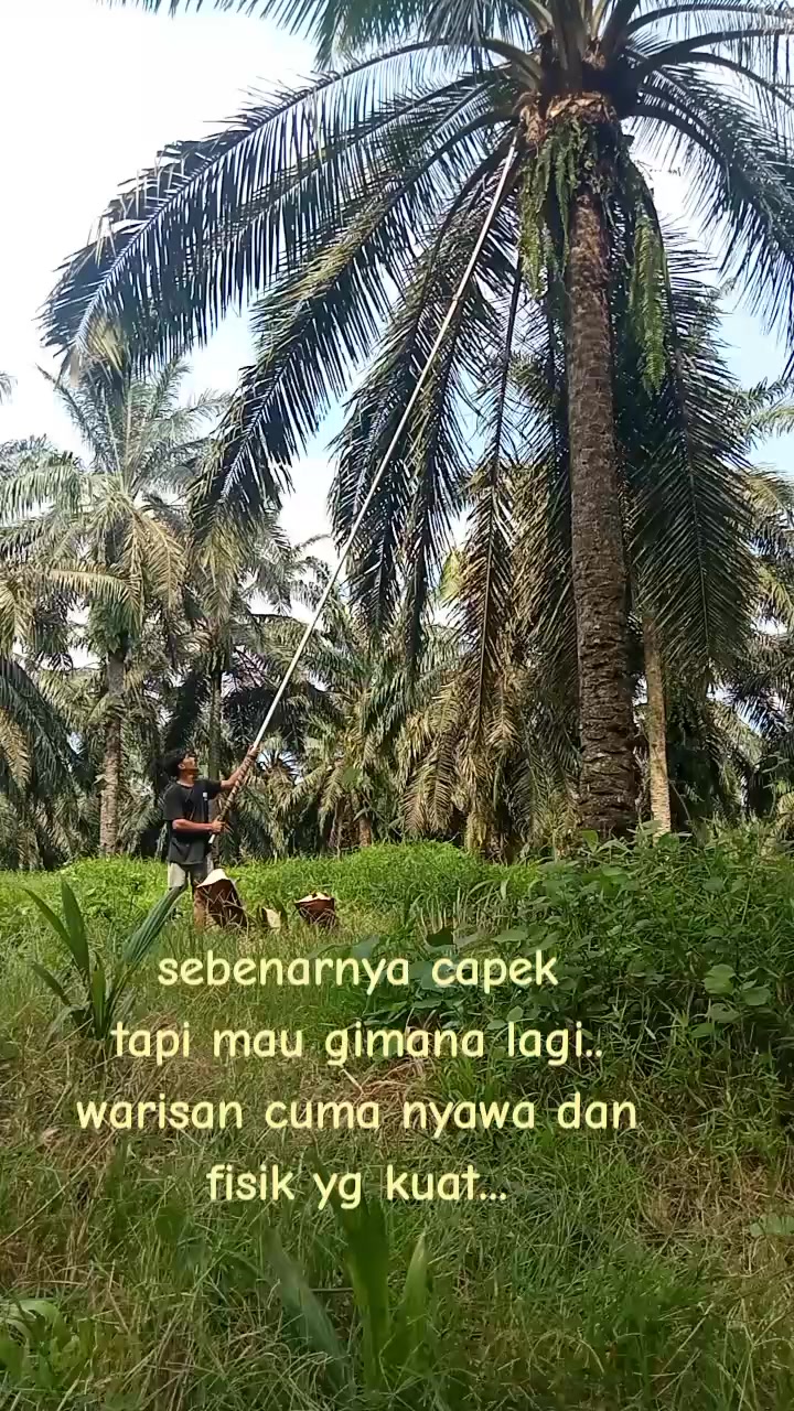 @Hendri Pardede