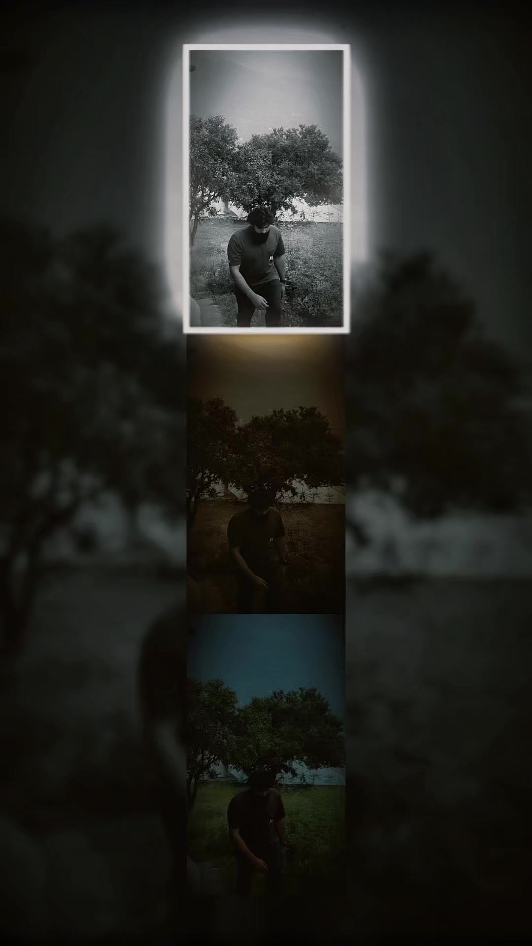 @TAJ 🕊️🤍