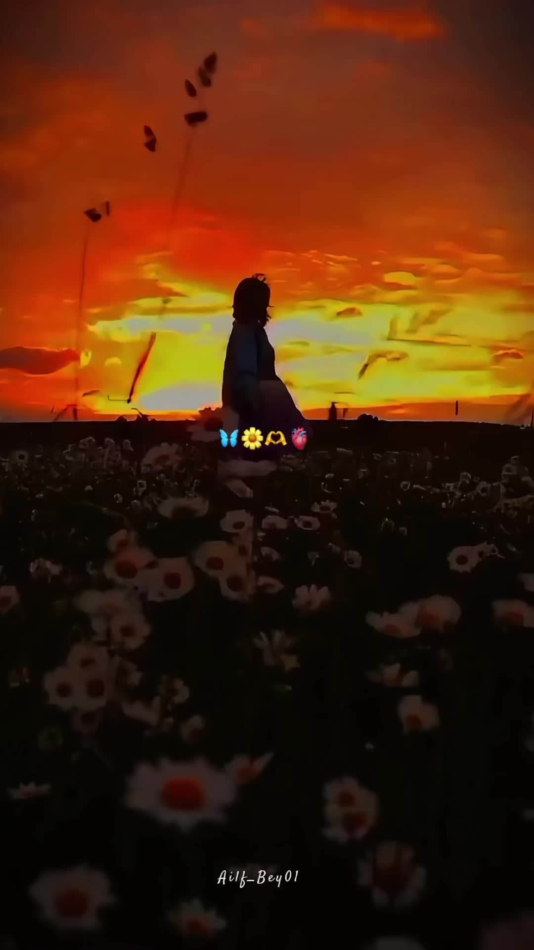 @alifbey🕊️