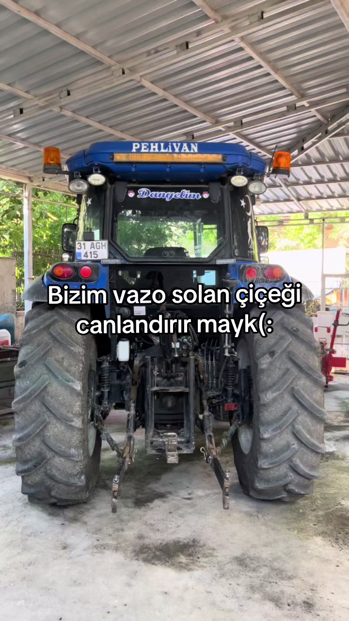 @Danyel G&uuml;ler ☑️
