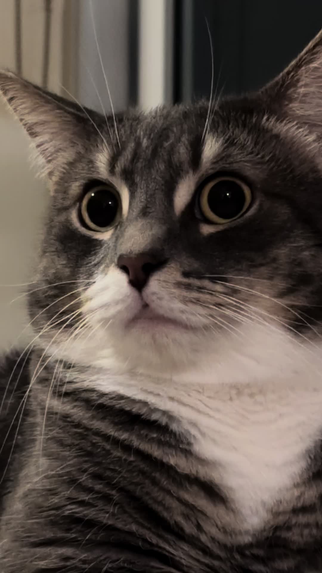 @็ซใฎใใ๐ฑ