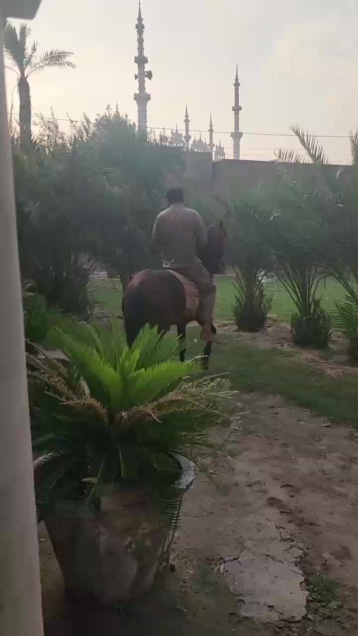 @احمد گل نمبر دار