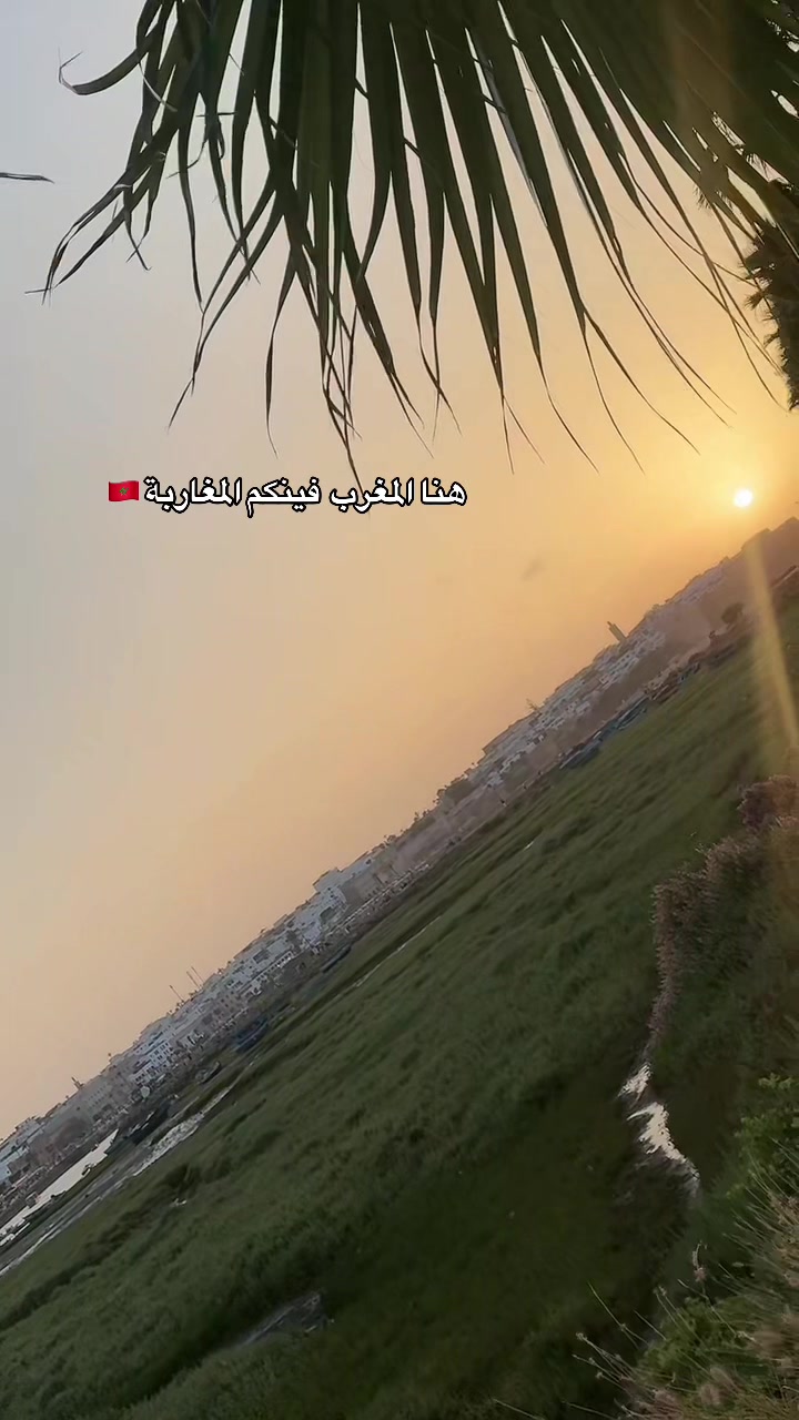 @Abir Alhady