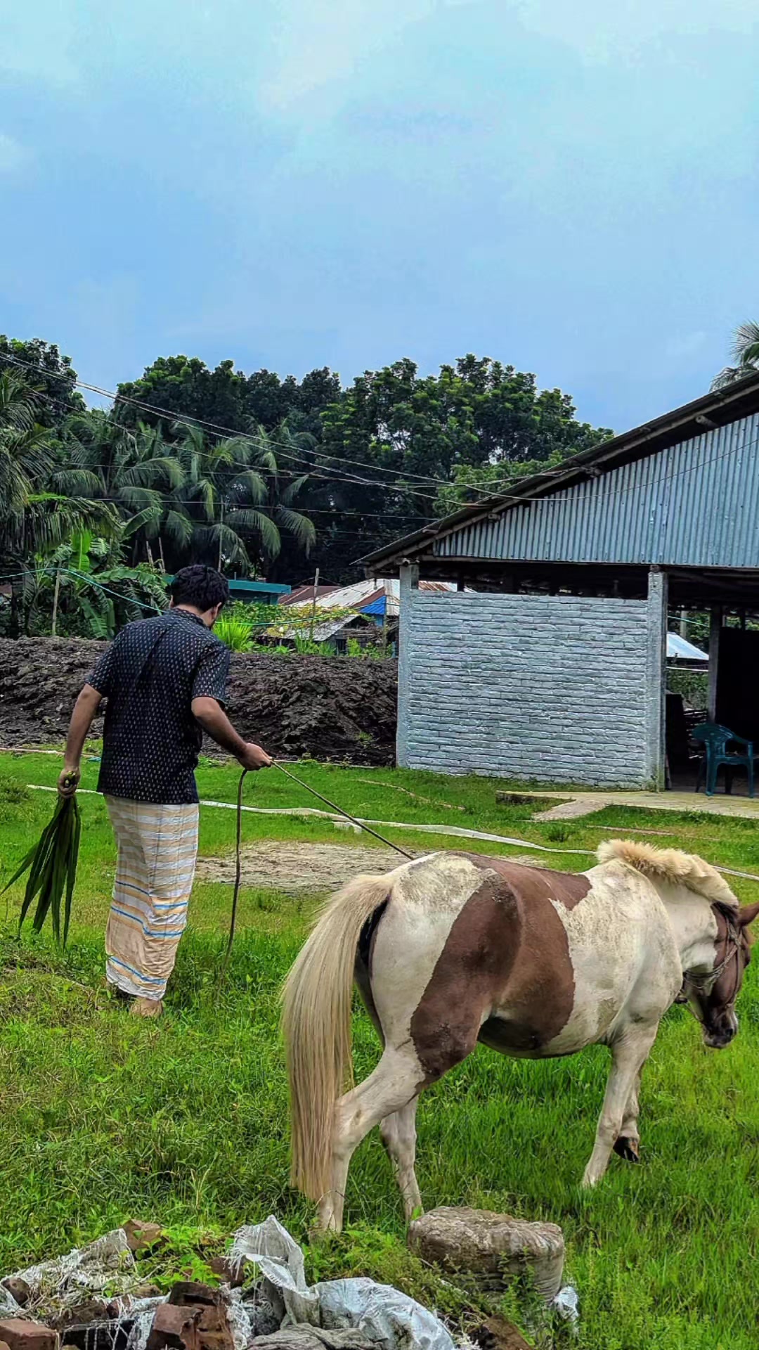 @Tonmoy dairy Farm