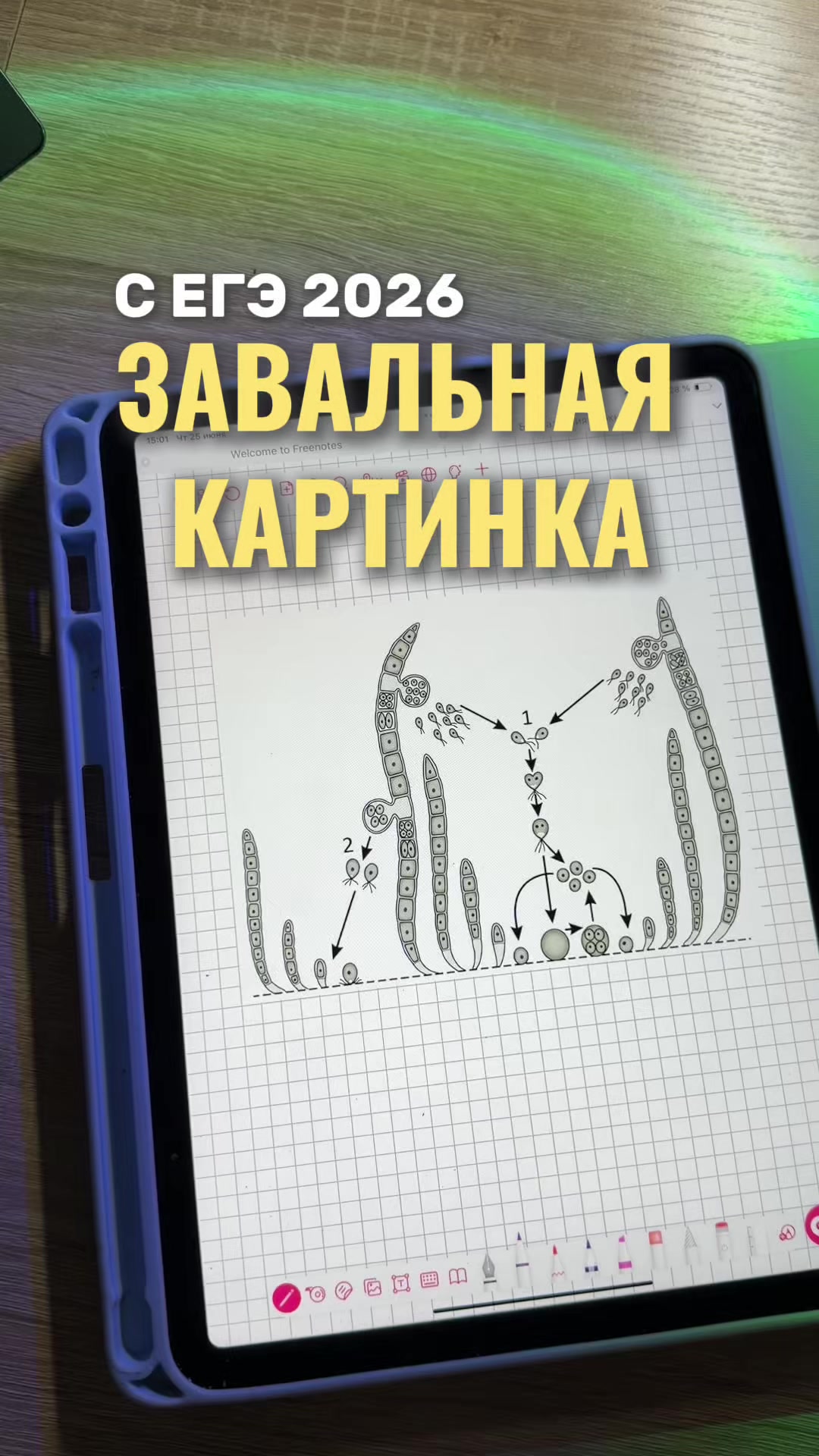 @Алёна Бриз