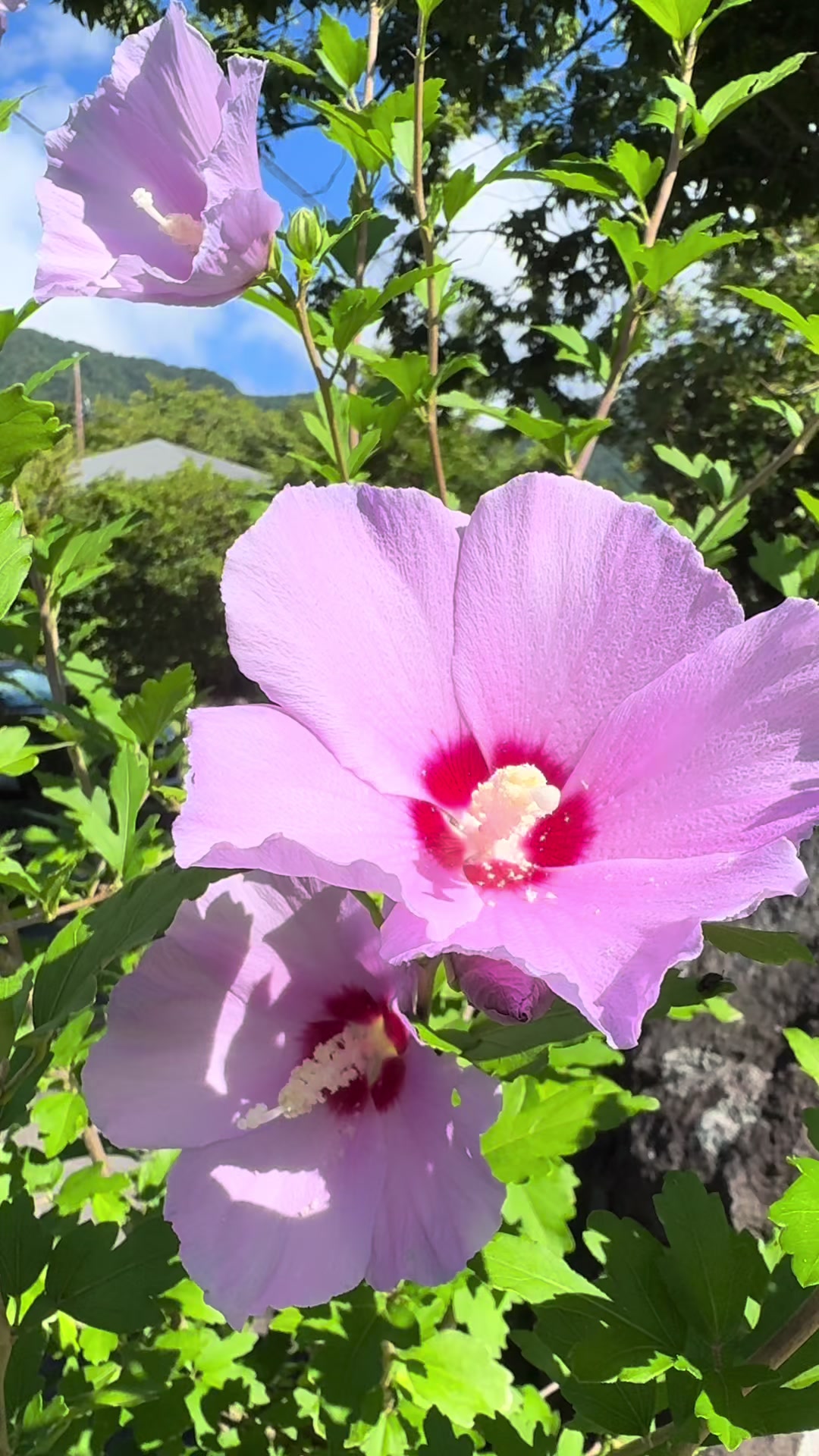 @japan.guidepal