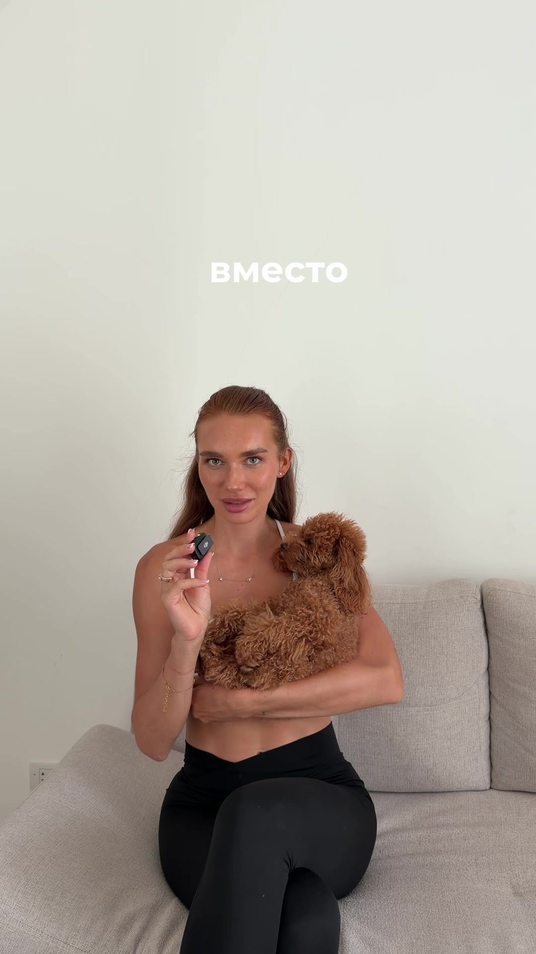 @beatrice_poodle