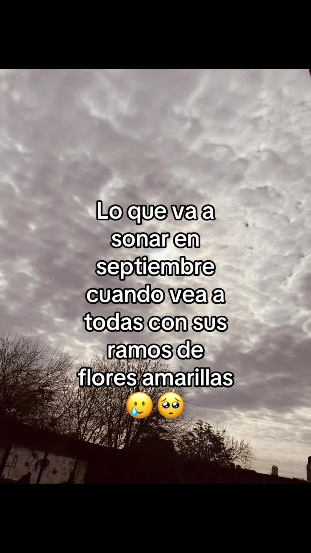 @Compartidoss🎀🩷