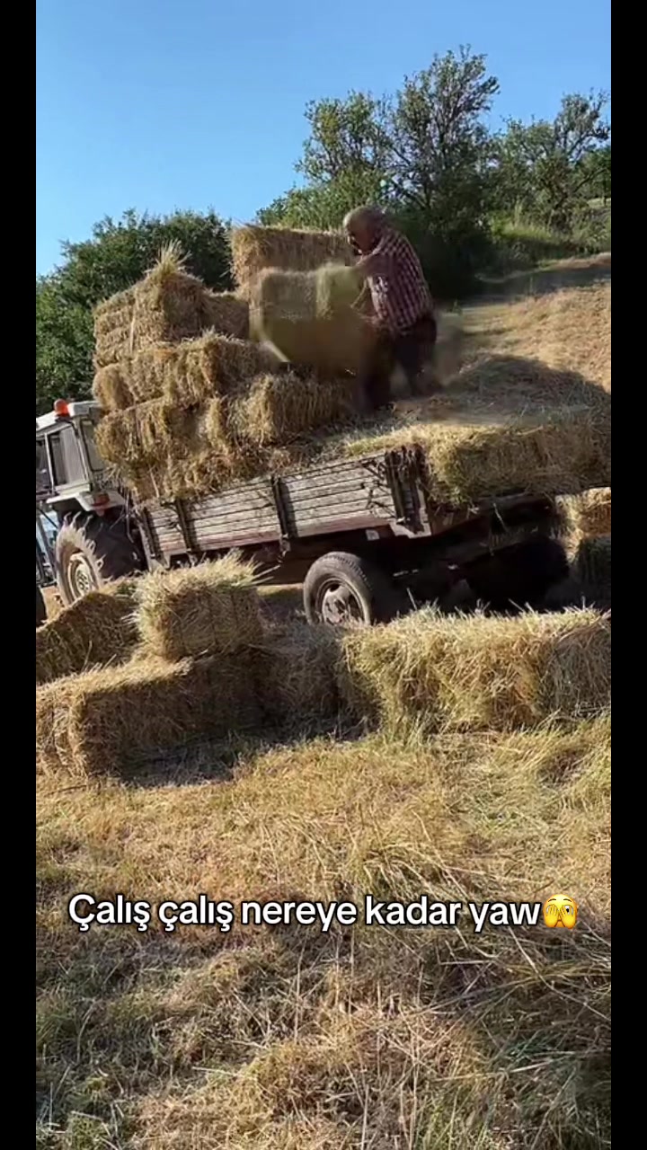@Hüsniş özdemir