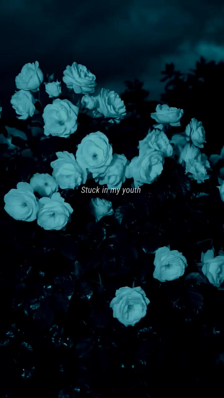 @zeyk.