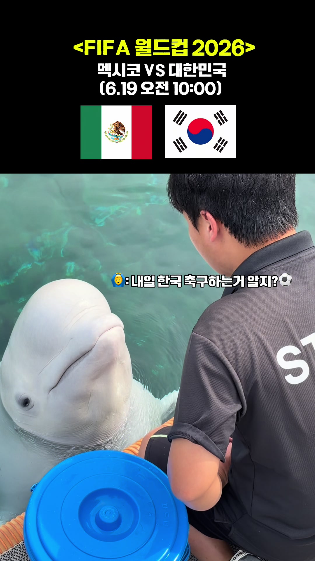 @DolphinTok