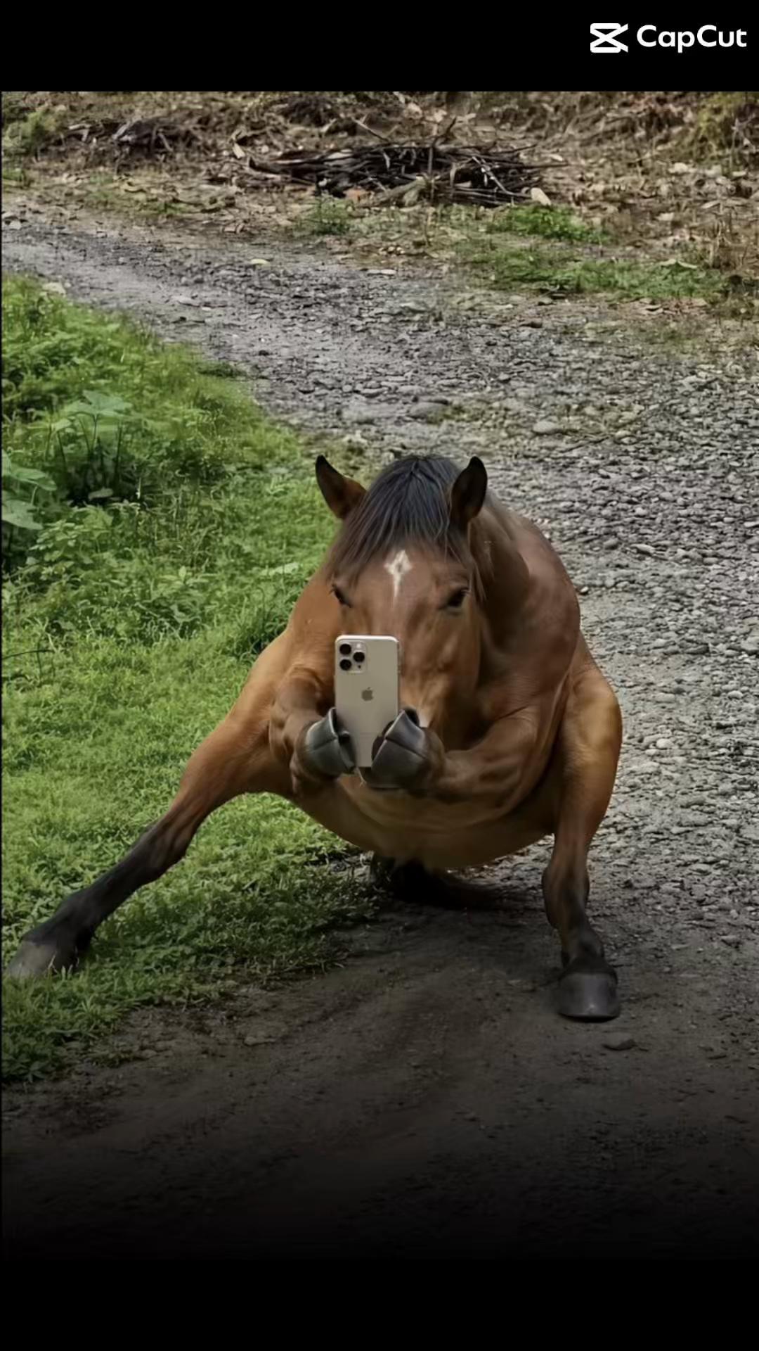 @𝓛𝓮𝓸𝔃𝓲𝓷𝓱𝓸𝓸𝓯𝓲𝓬𝓲𝓪𝓵