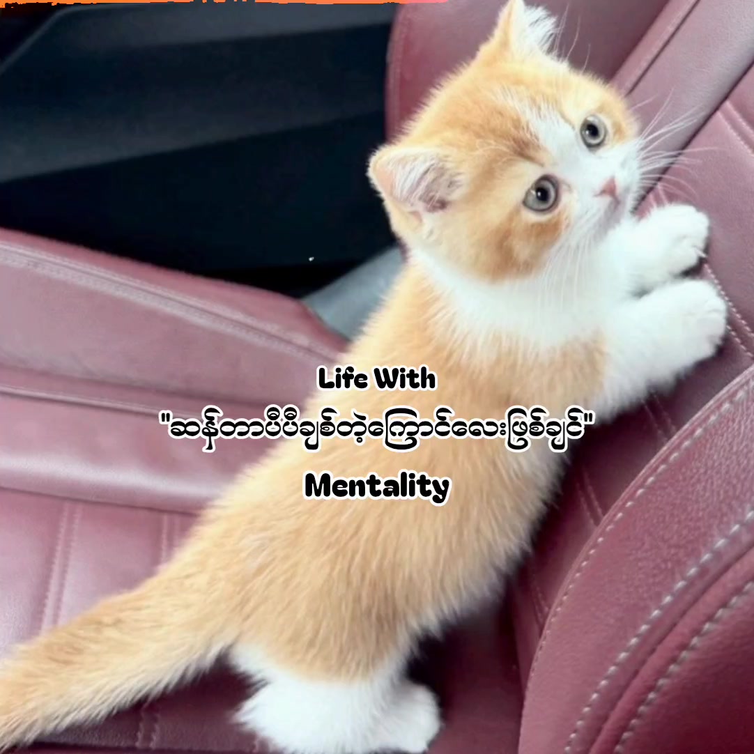 @𝑃𝑒𝑟𝑡ℎ𝑆𝑎𝑛𝑡𝑦𐙚