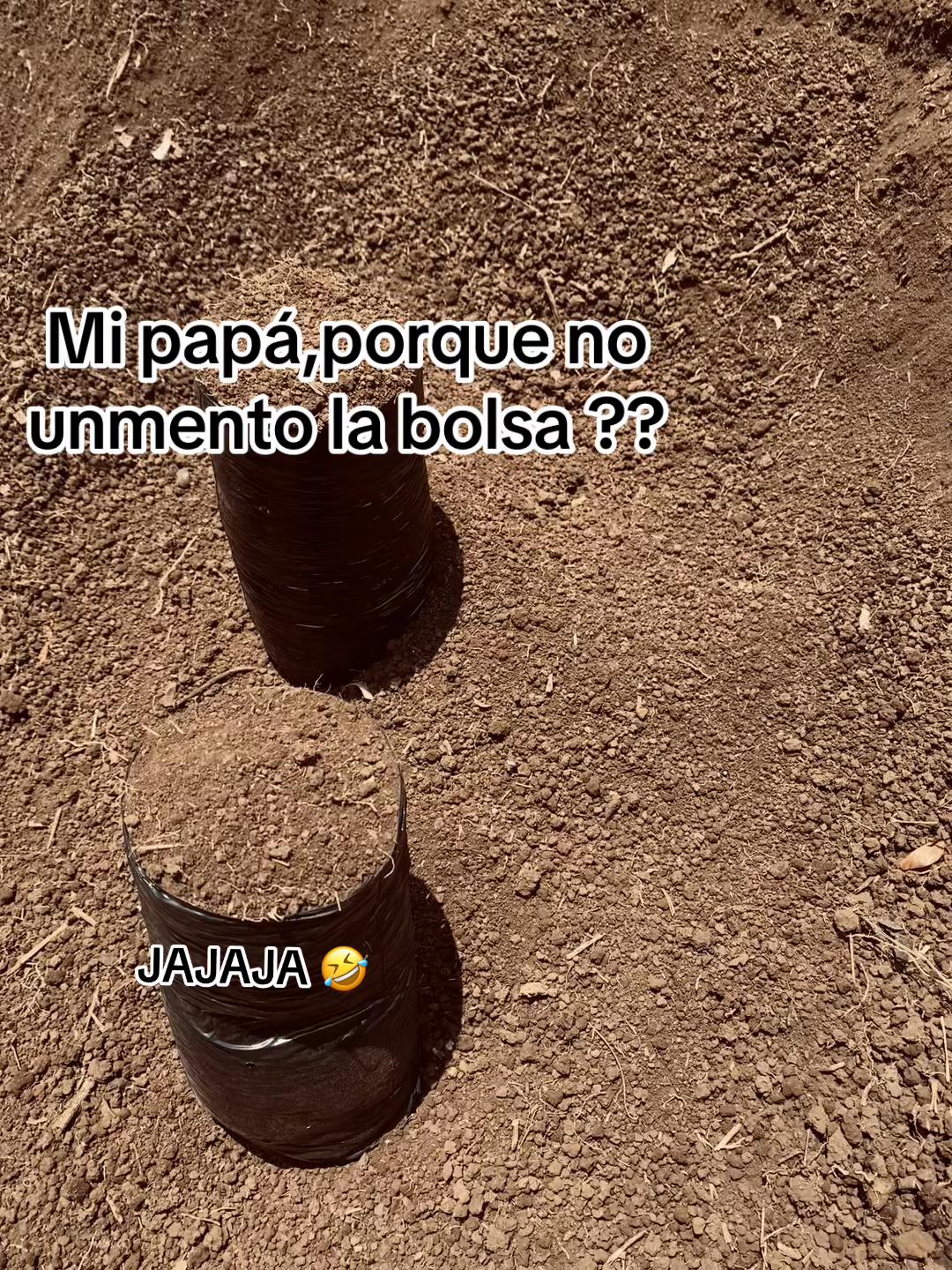 @Vane10120