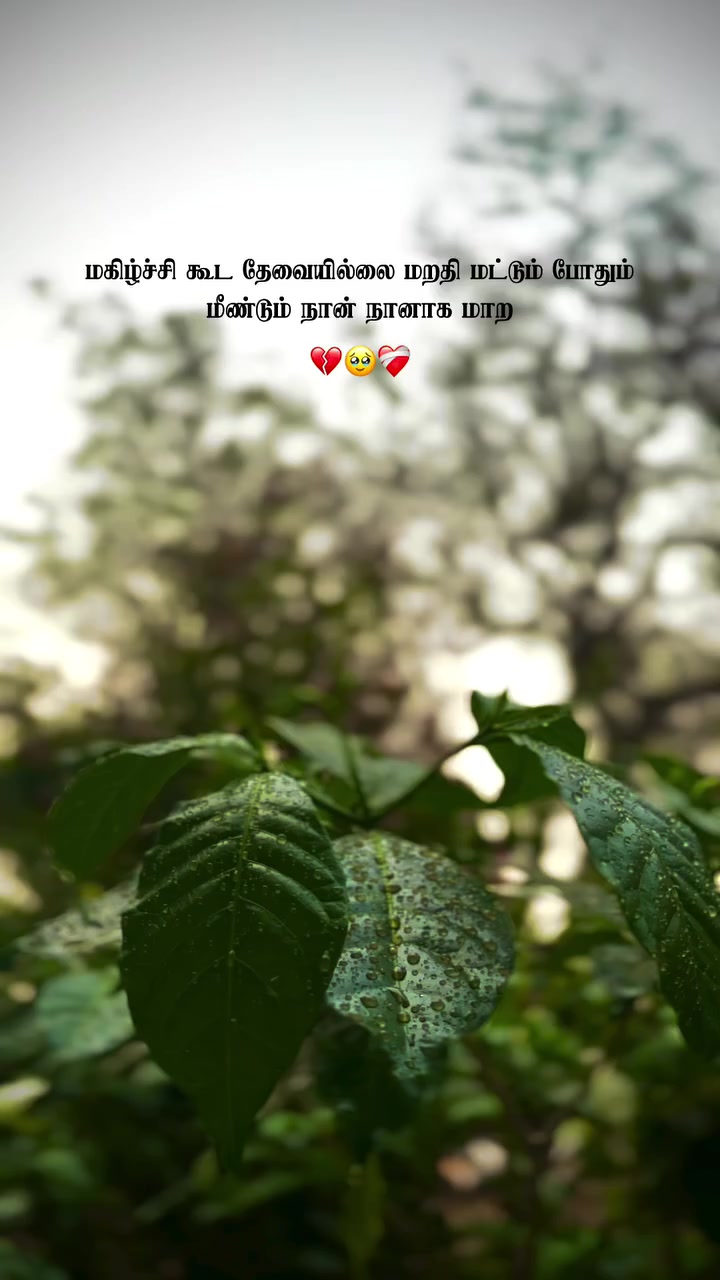 @Michael raayappan