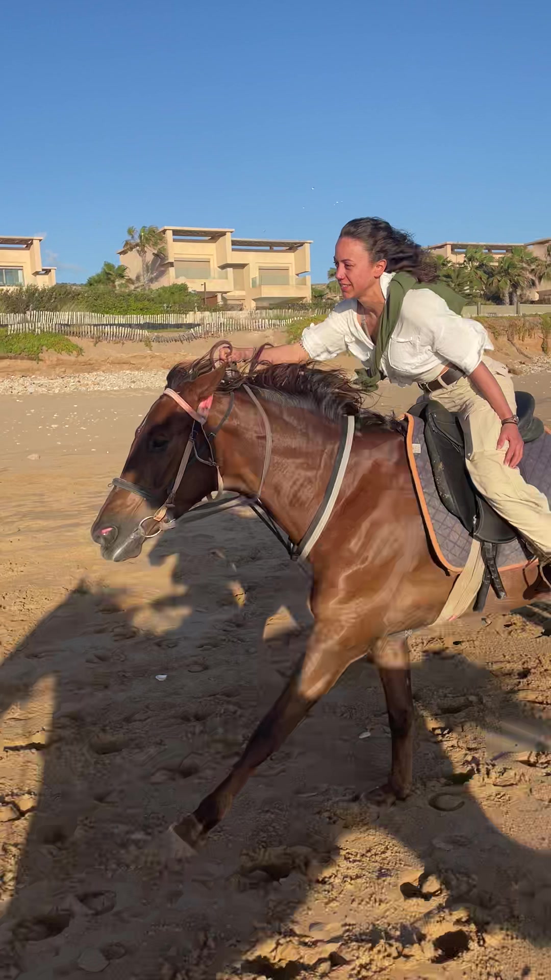 @Cheval_agadir