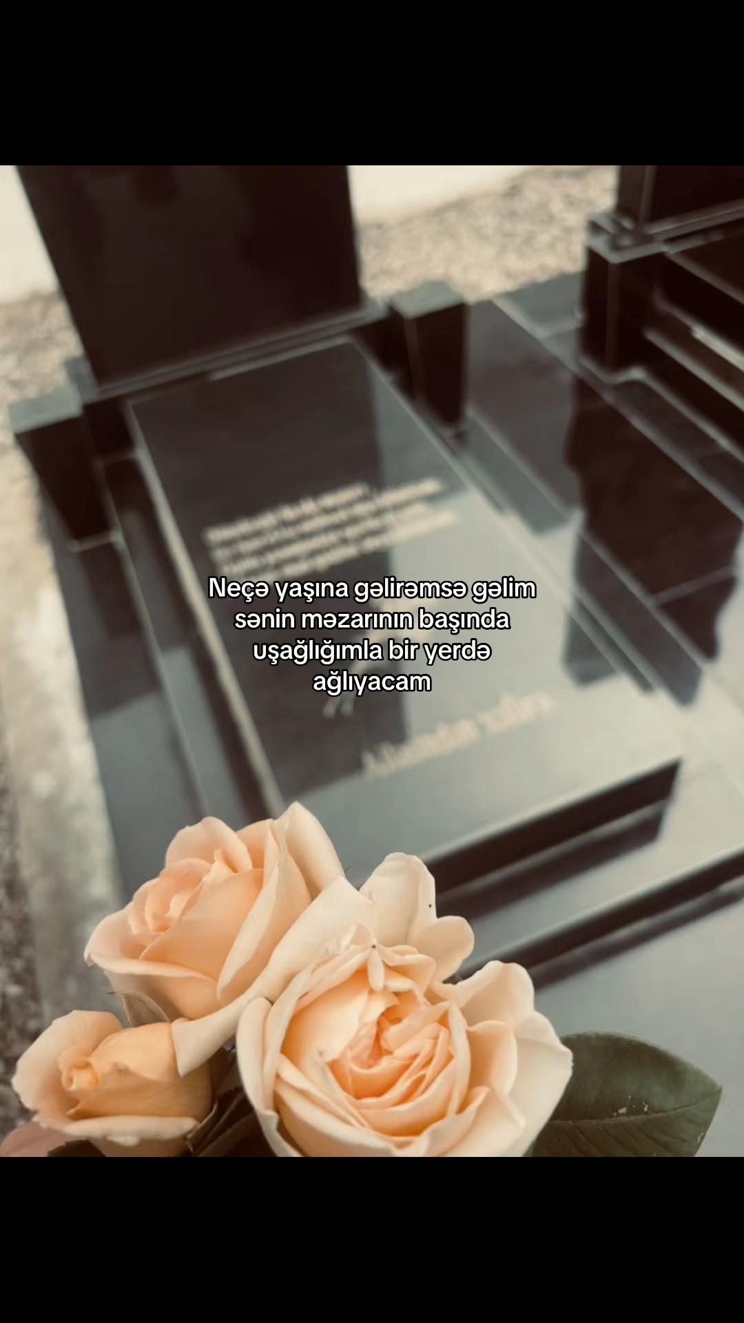 @safii