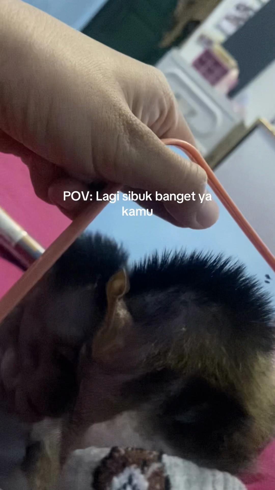 @MRS.Adit ๐๐๐๐ง๐ญ๐