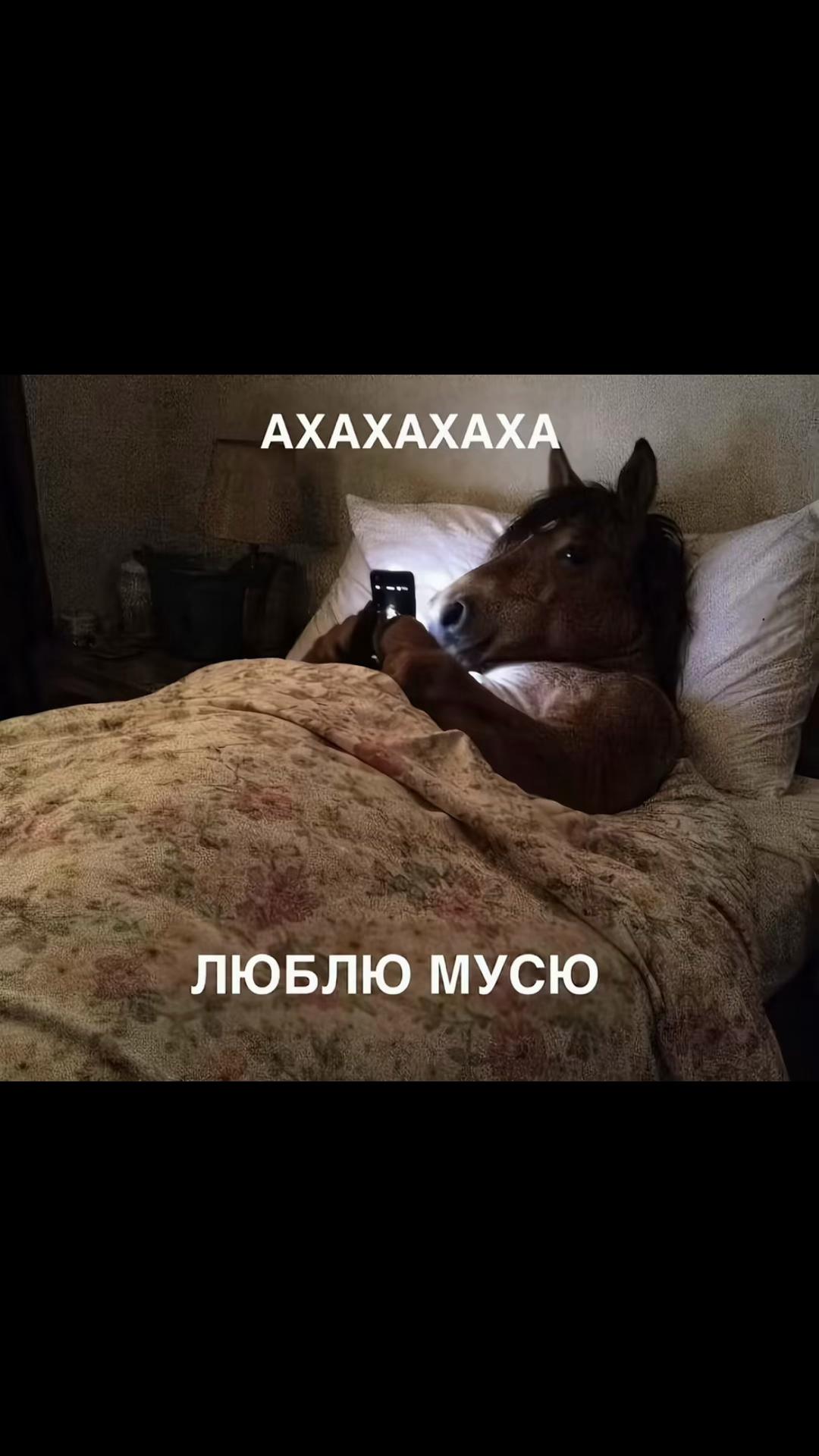 @d