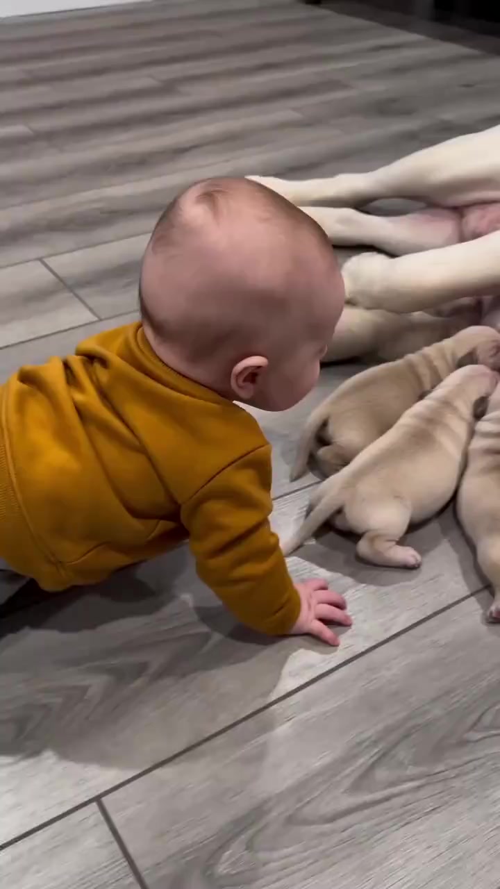 @Камола