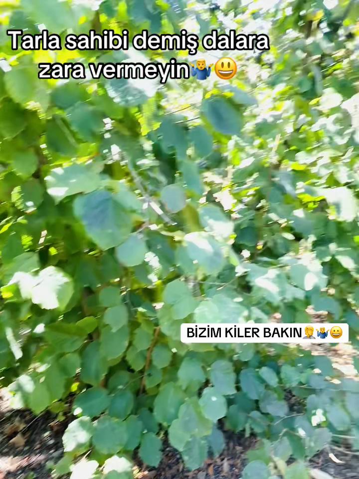 @ YORGUNREYİS: