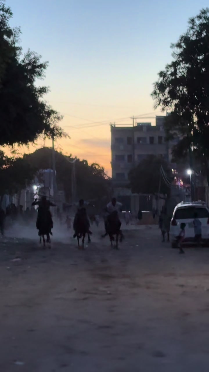 @Duliyaha🐎diyaradadhulka🇸🇴🐎