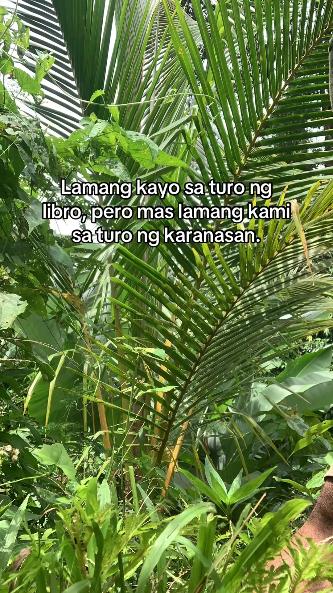 @Jibbydigan